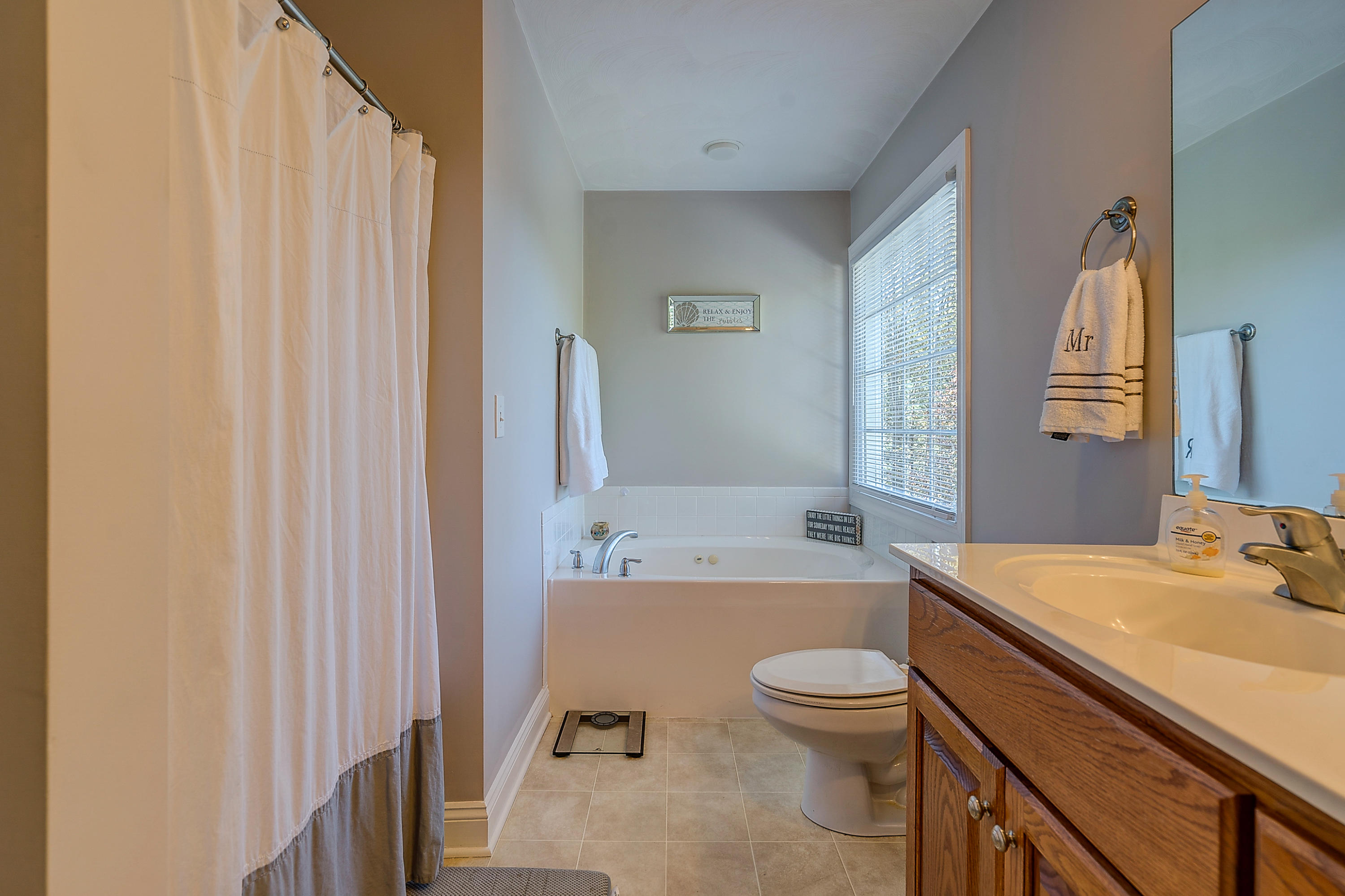5325 Horseshoe Bend Road Goodview, VA 24095 - Photo 22 of 30 a bathroom with a sink a toilet and a bathtub