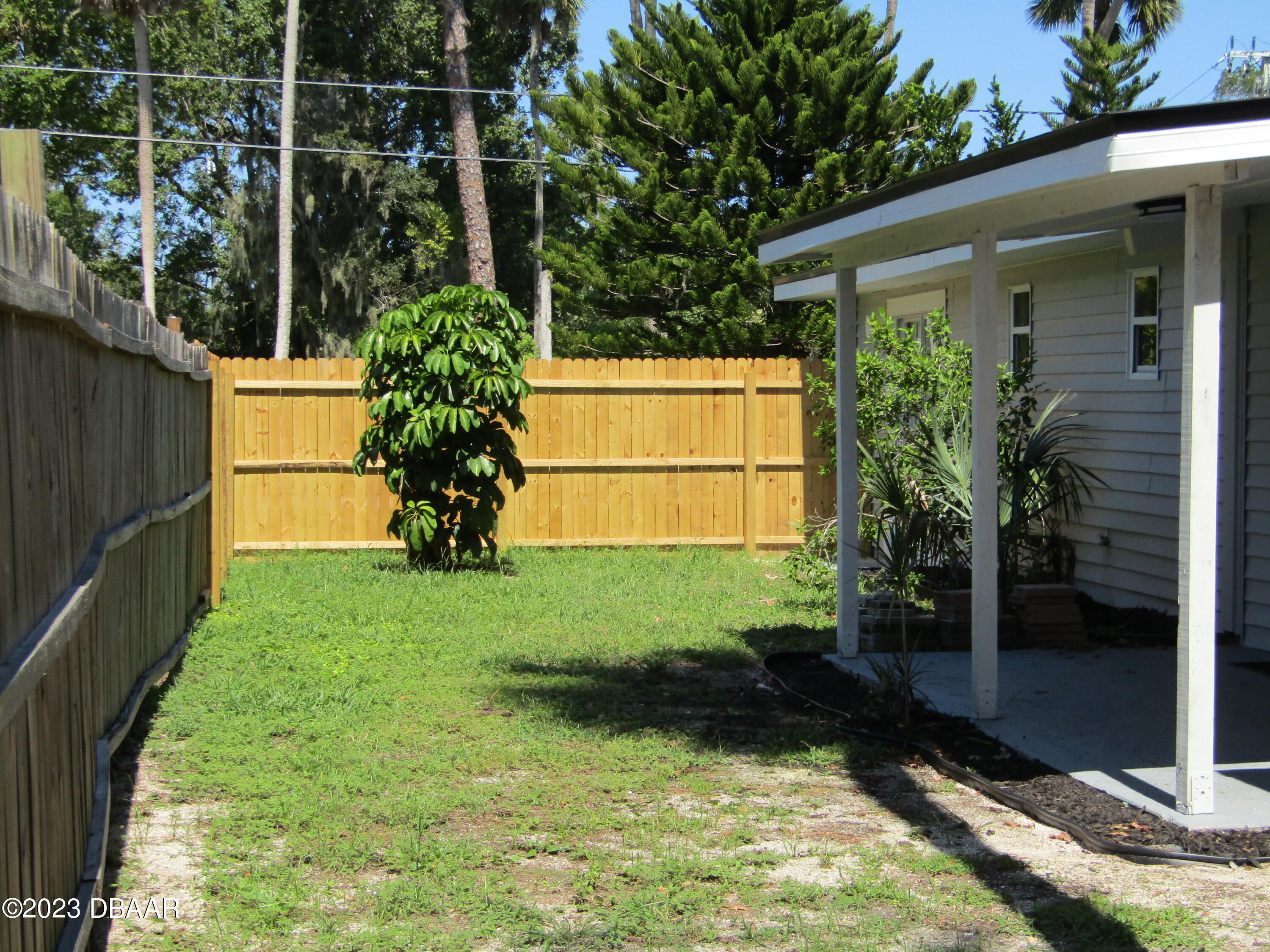 553 Ruth Street Port Orange, FL 32127 - Photo 13 of 15 553 Ruth Backyard
