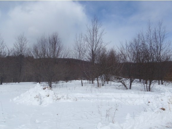300 Town Road, Unit 30 Starksboro, VT 05487 - Photo 14 of 20
