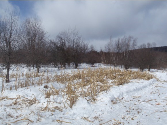 300 Town Road, Unit 30 Starksboro, VT 05487 - Photo 7 of 20