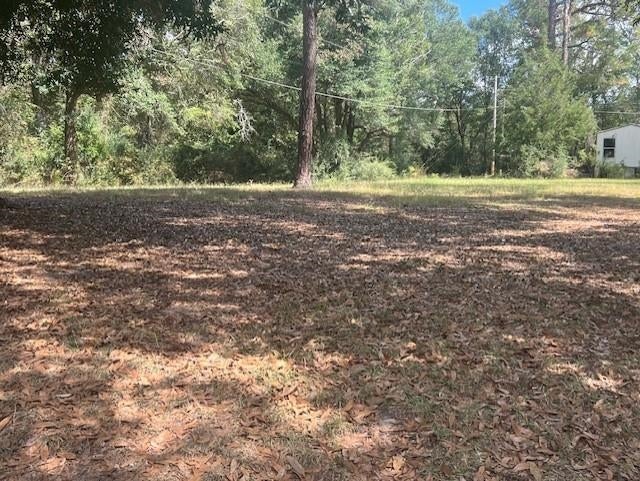 332 Jericho Road Andalusia, AL 36421 - Photo 16 of 18 Gallery Image 16