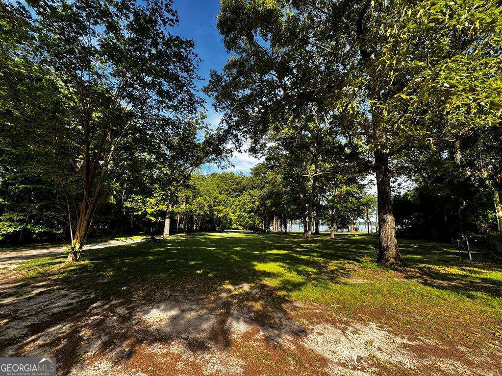 622 Flintside Drive Cobb, GA 31735 - Photo 25 of 26