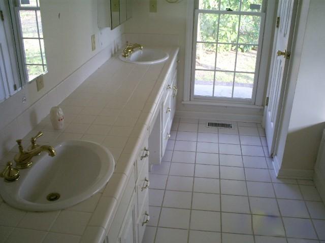 245 Warner Smith Road Tullahoma, TN 37388 - Photo 11 of 20 Master bath has double vanities