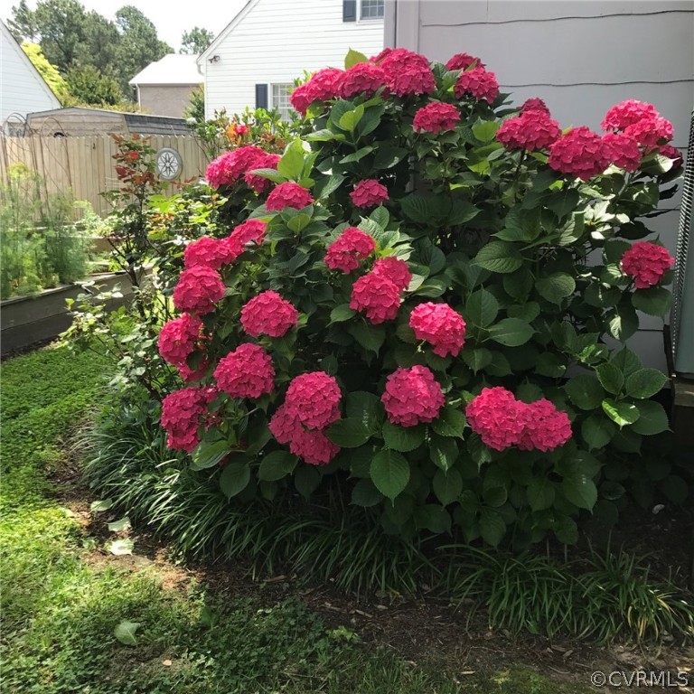 131 Routten Road Hampton, VA 23664 - Photo 31 of 34 Gorgeous mature plantings