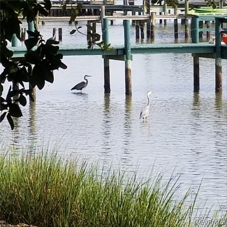 131 Routten Road Hampton, VA 23664 - Photo 33 of 34 The bird watching here is truly a delight--herons,