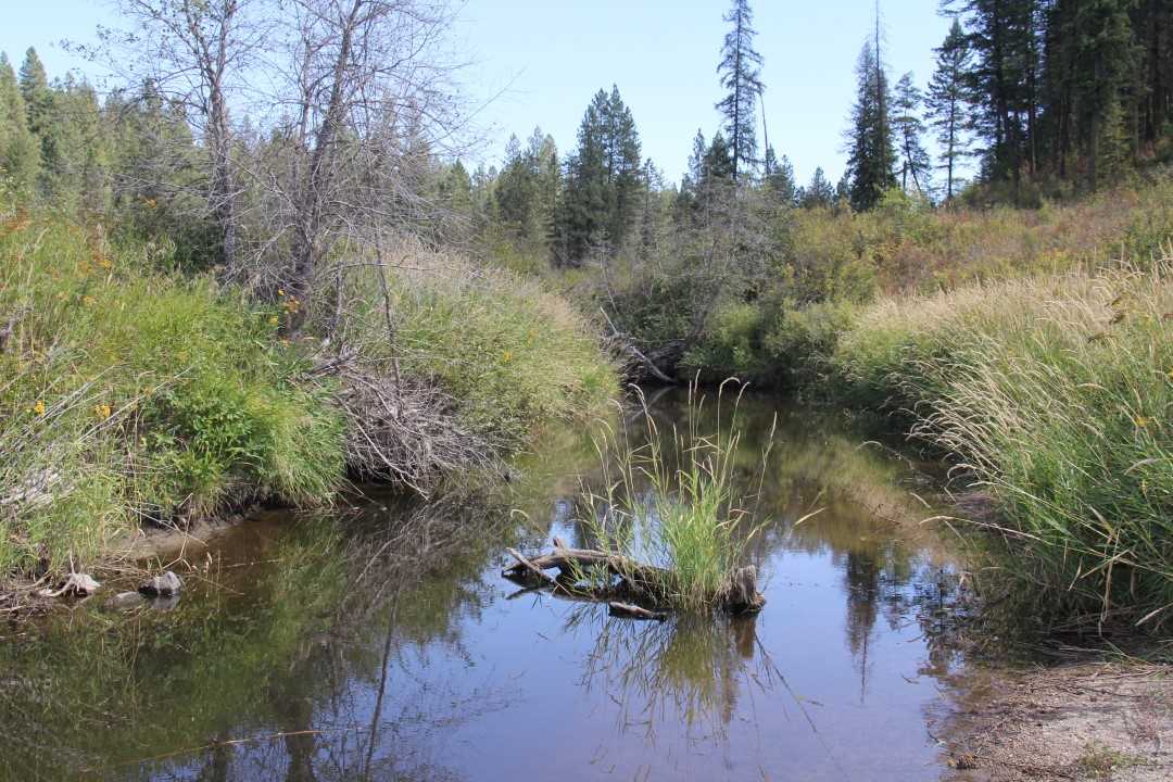4235 Springdale-Hunters Road Springdale, WA 99173 - Photo 15 of 20