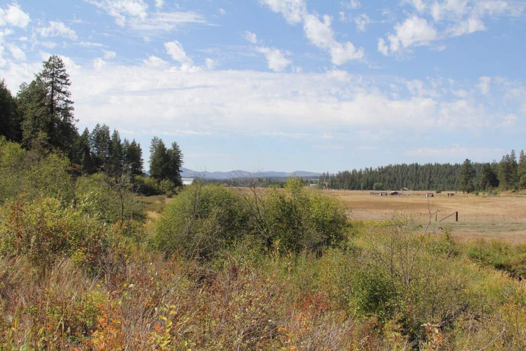 4235 Springdale-Hunters Road Springdale, WA 99173 - Photo 16 of 20