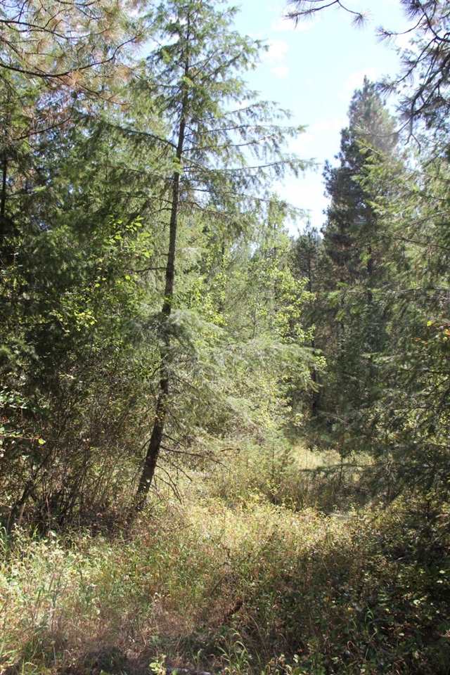 4235 Springdale-Hunters Road Springdale, WA 99173 - Photo 18 of 20