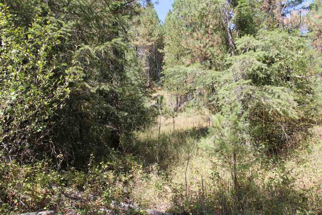 4235 Springdale-Hunters Road Springdale, WA 99173 - Photo 19 of 20