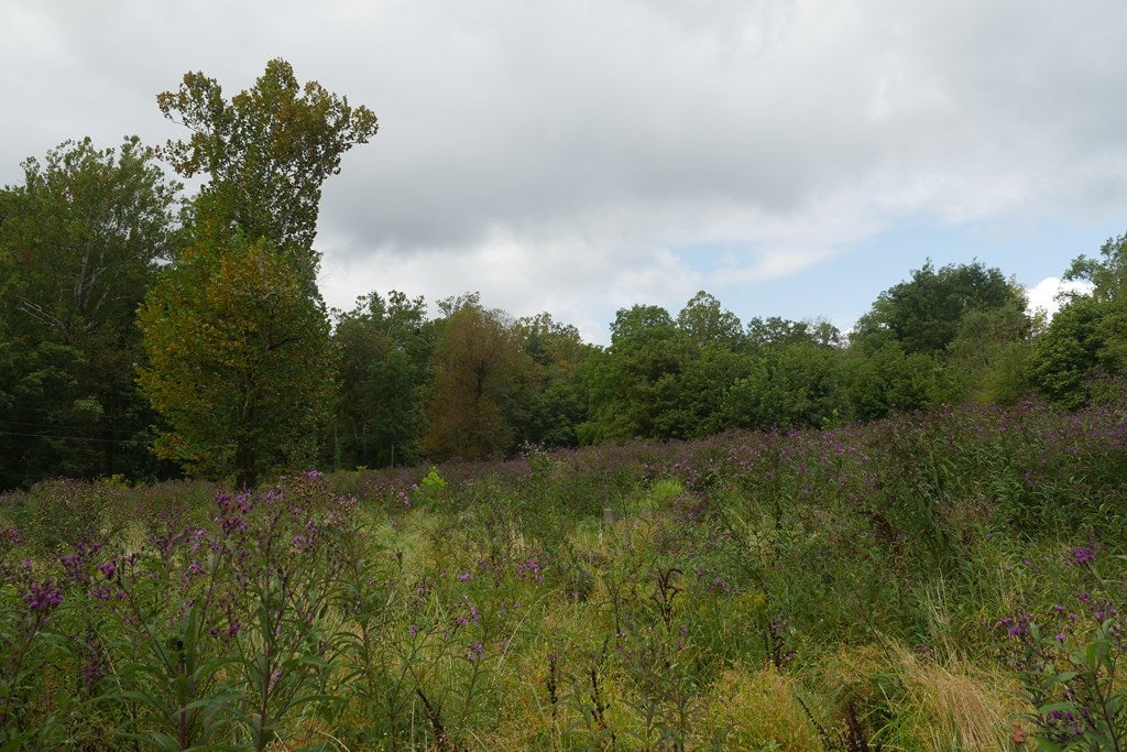 Tbd South Fork River Road, Unit 1 Glade Spring, VA 24340 - Photo 22 of 57 Gallery Image 22