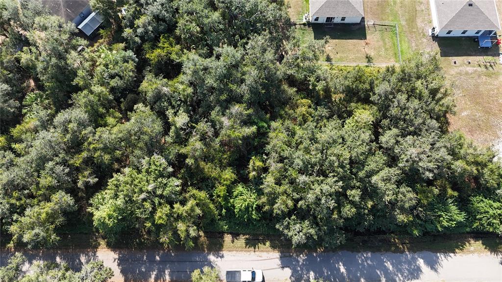 29359 Nottingham Road Punta Gorda, FL 33982 - Photo 1 of 20 an aerial view of a house with a yard