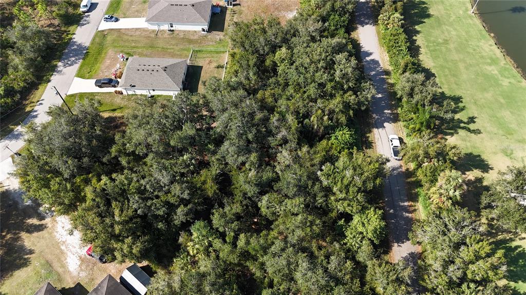 29359 Nottingham Road Punta Gorda, FL 33982 - Photo 4 of 20 a view of a house with a tree