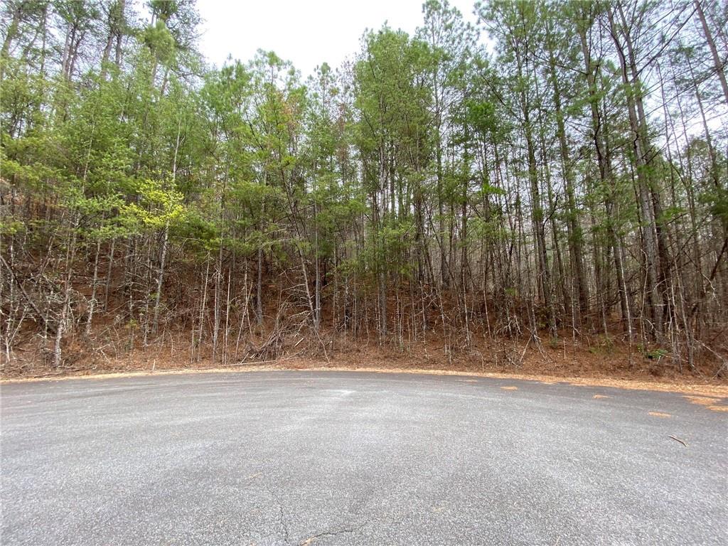 Lot 18 East Ridge Lane Ellijay, GA 30536 - Photo 1 of 1 a view of outdoor space with trees