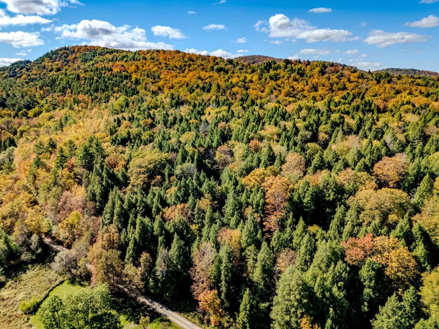 30 Bentley Lane Jericho, VT 05465 - Photo 16 of 17 Gallery Image 16