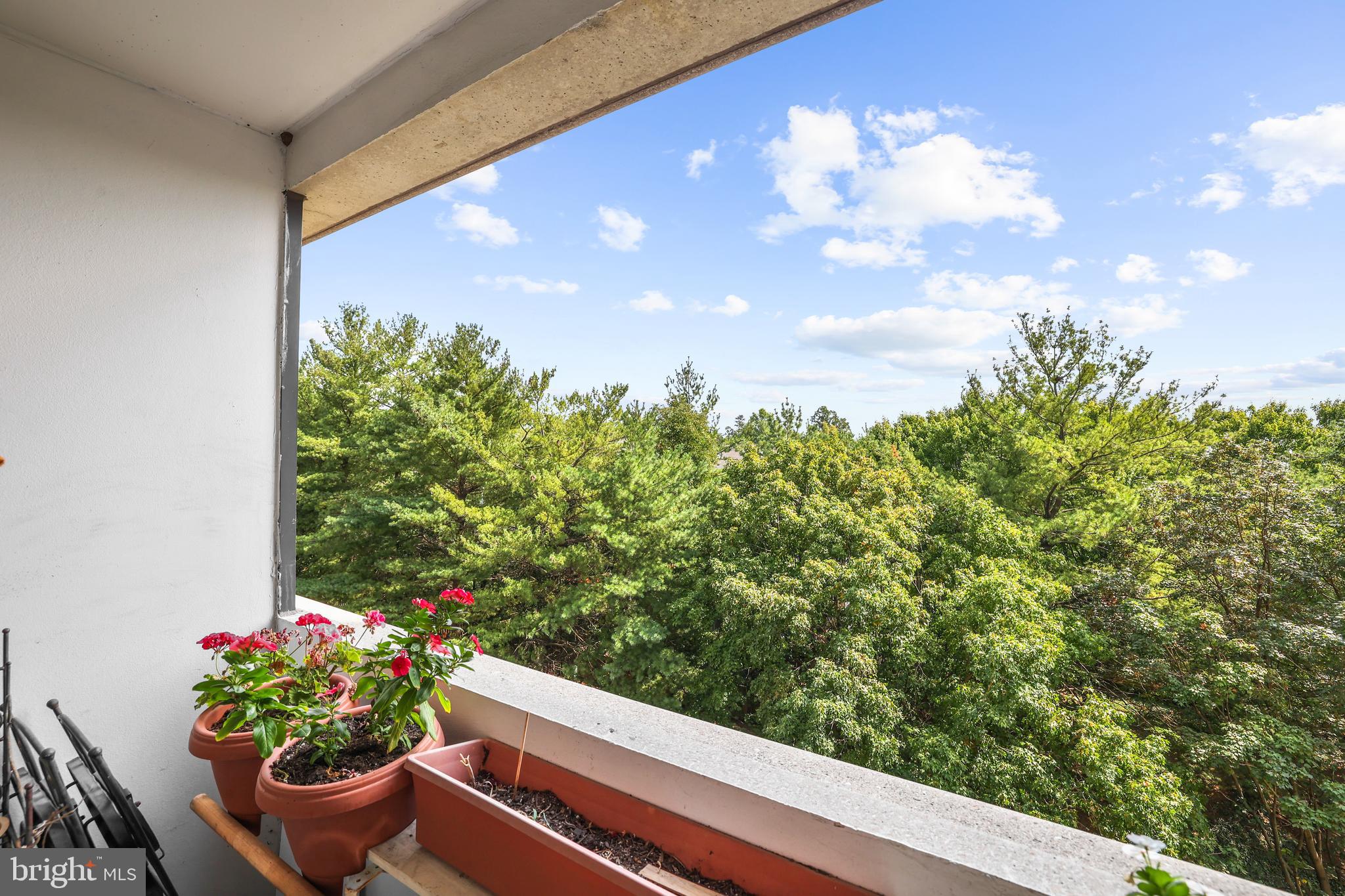 5911 Edsall Road, Unit 805 Alexandria, VA 22304 - Photo 27 of 36