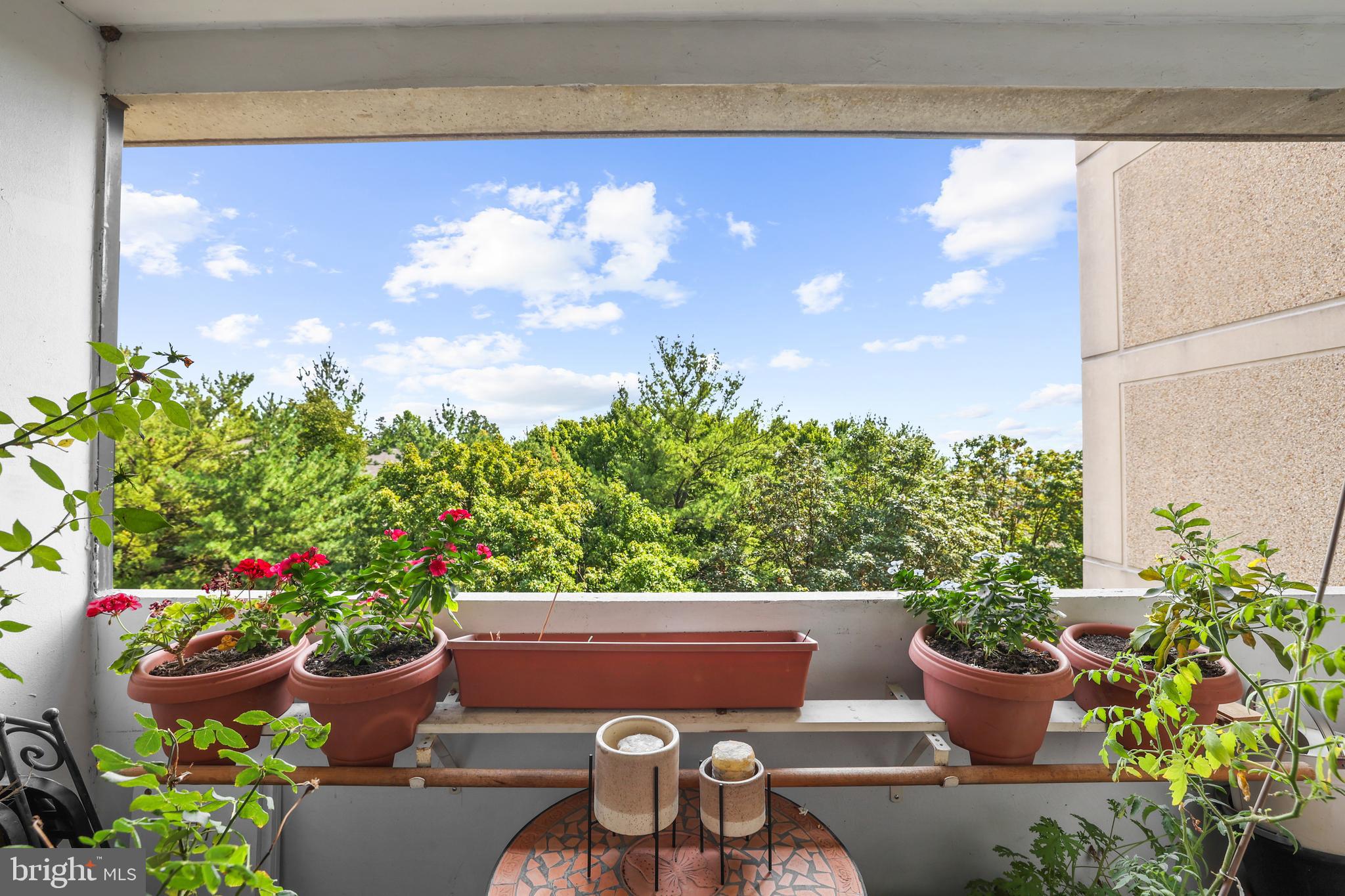 5911 Edsall Road, Unit 805 Alexandria, VA 22304 - Photo 28 of 36