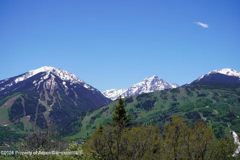 a view of a big yard with a large tree