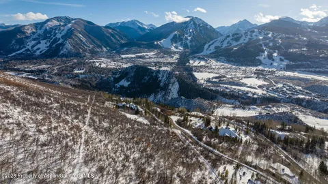a view of a tree in a yard