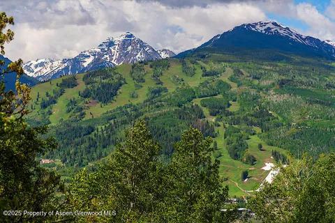 a view of a back yard