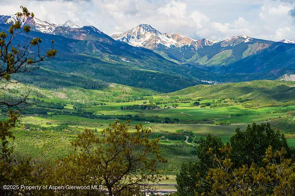 a view of a big yard with green space