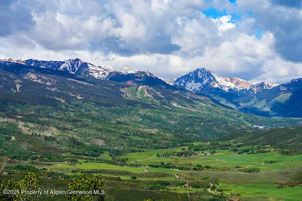 a view of a big yard