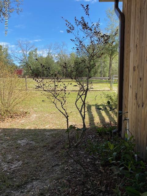 4355 Hall And Boree Road Middleburg, FL 32068 - Photo 22 of 36 View from Barn