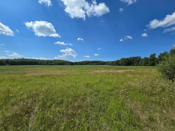 $65,000 | Leckrone Road, Brethren, MI 49619