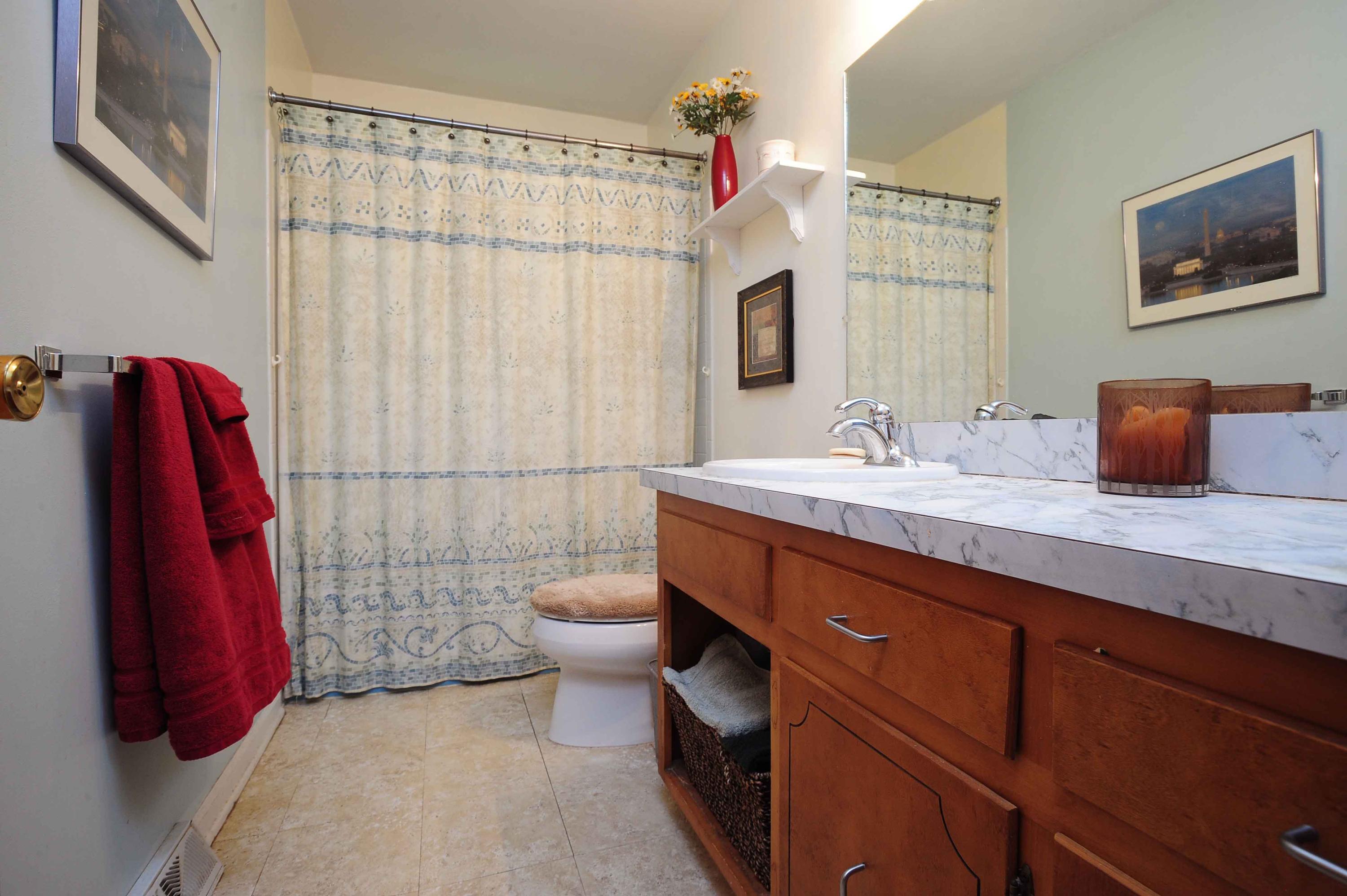302 Pin Oak Drive Blue Ridge, VA 24064 - Photo 16 of 18 a bathroom with a sink a toilet and shower curtain