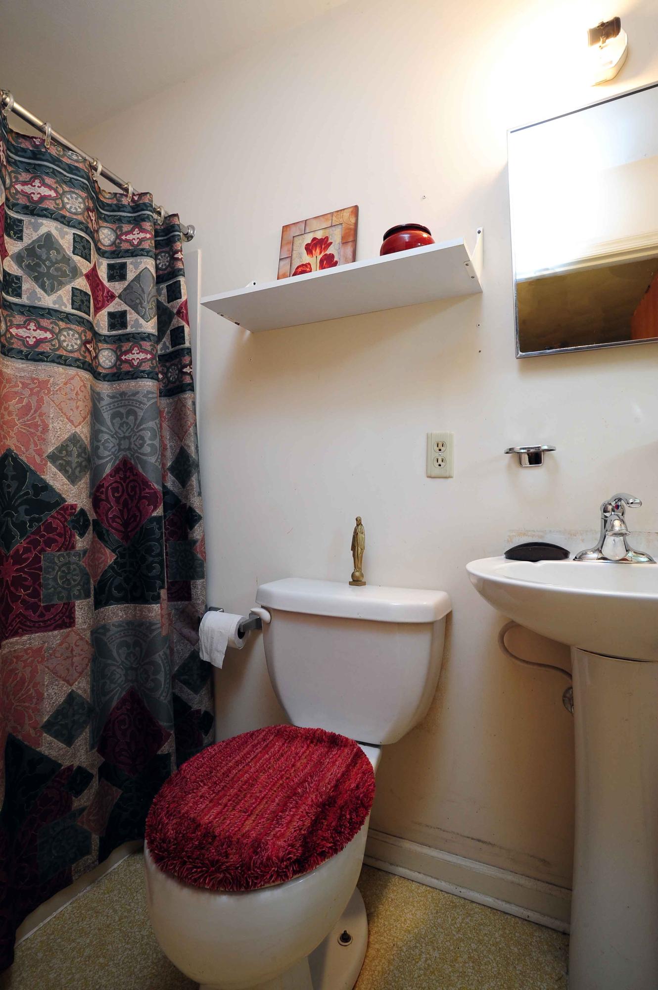 302 Pin Oak Drive Blue Ridge, VA 24064 - Photo 17 of 18 a bathroom with a sink and a mirror