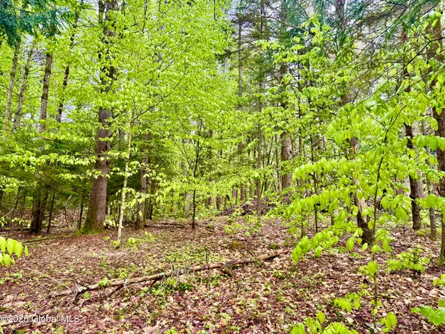 $225,000 | L18 Woods Hollow Drive, Bolton Landing, NY 12814