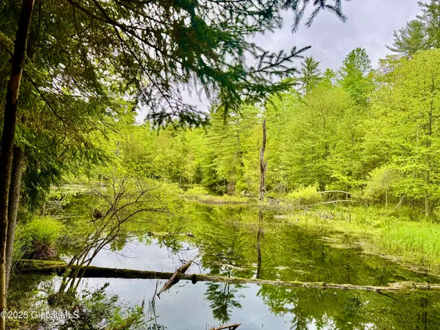 $225,000 | L18 Woods Hollow Drive, Bolton Landing, NY 12814