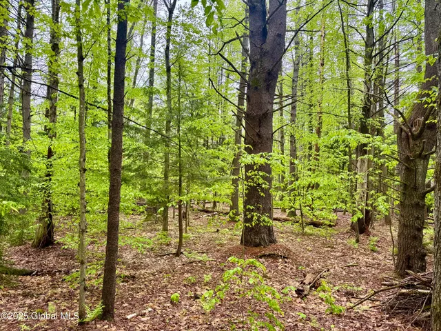 $225,000 | L18 Woods Hollow Drive, Bolton Landing, NY 12814