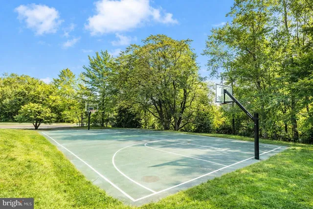 a view of a swimming pool with a yard