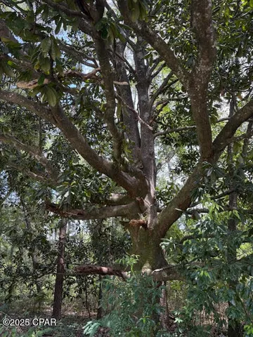 $170,000 | 4600 Pine Grove Church Road, Quincy, FL 32351