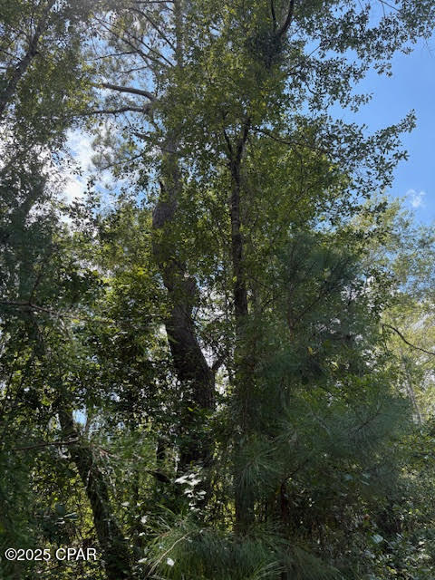 4600 Pine Grove Church Road Quincy, FL 32351 - Photo 14 of 59