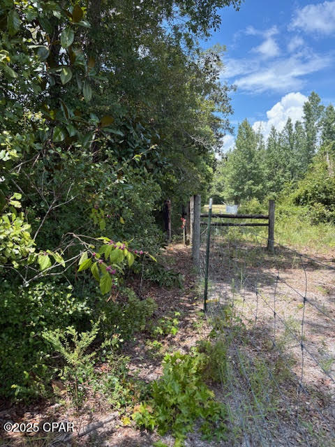 4600 Pine Grove Church Road Quincy, FL 32351 - Photo 17 of 59