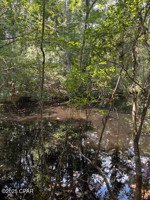 4600 Pine Grove Church Road Quincy, FL 32351 - Photo 20 of 59