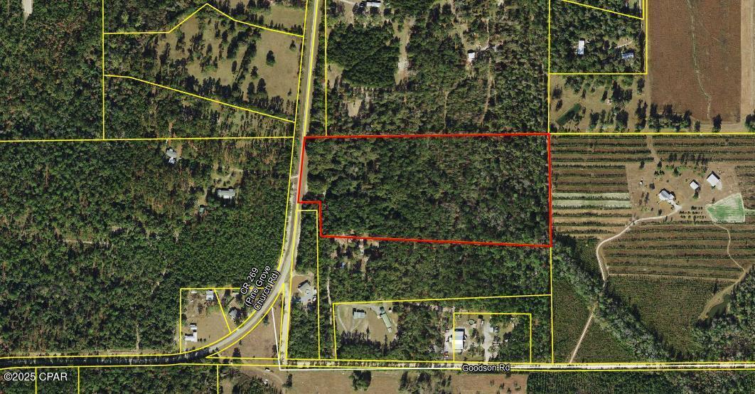 4600 Pine Grove Church Road Quincy, FL 32351 - Photo 2 of 59