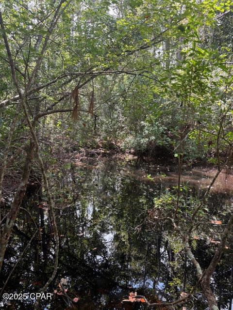 4600 Pine Grove Church Road Quincy, FL 32351 - Photo 22 of 59