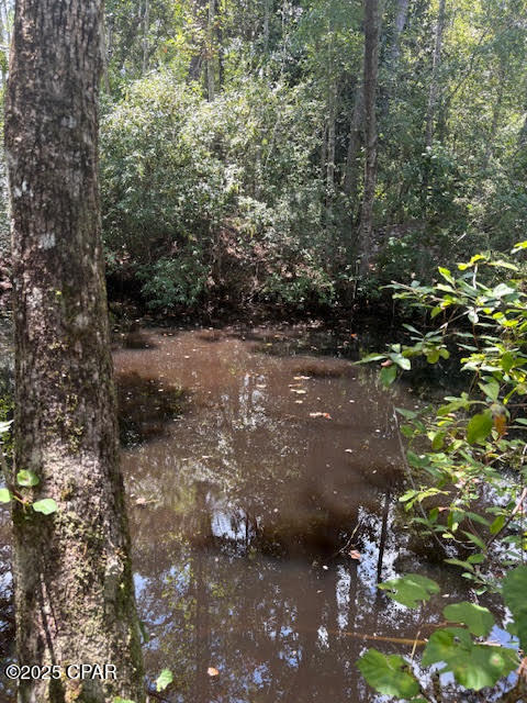 4600 Pine Grove Church Road Quincy, FL 32351 - Photo 23 of 59