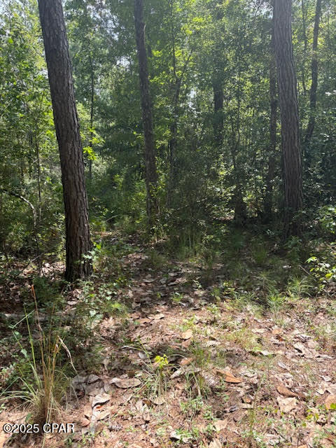 4600 Pine Grove Church Road Quincy, FL 32351 - Photo 25 of 59