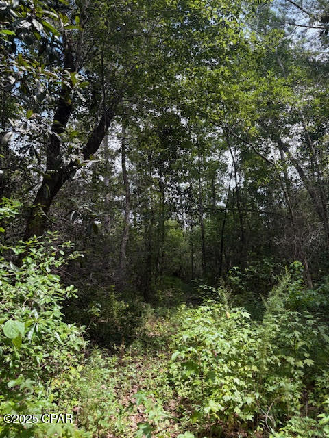 4600 Pine Grove Church Road Quincy, FL 32351 - Photo 27 of 59