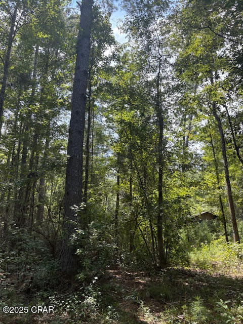 4600 Pine Grove Church Road Quincy, FL 32351 - Photo 28 of 59