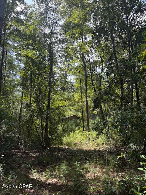 4600 Pine Grove Church Road Quincy, FL 32351 - Photo 29 of 59