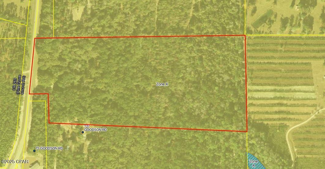 4600 Pine Grove Church Road Quincy, FL 32351 - Photo 3 of 59