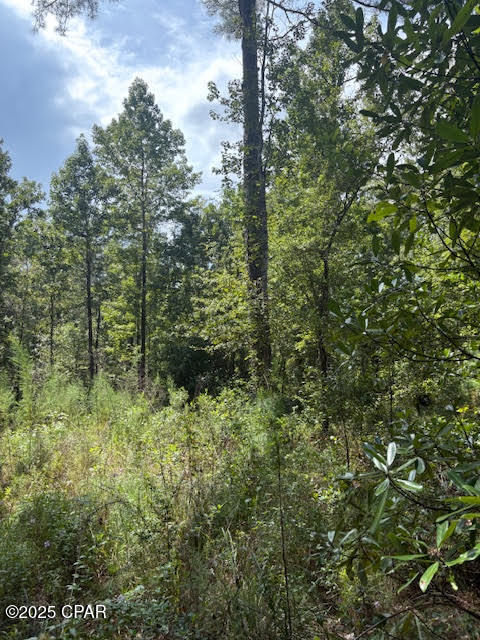 4600 Pine Grove Church Road Quincy, FL 32351 - Photo 32 of 59