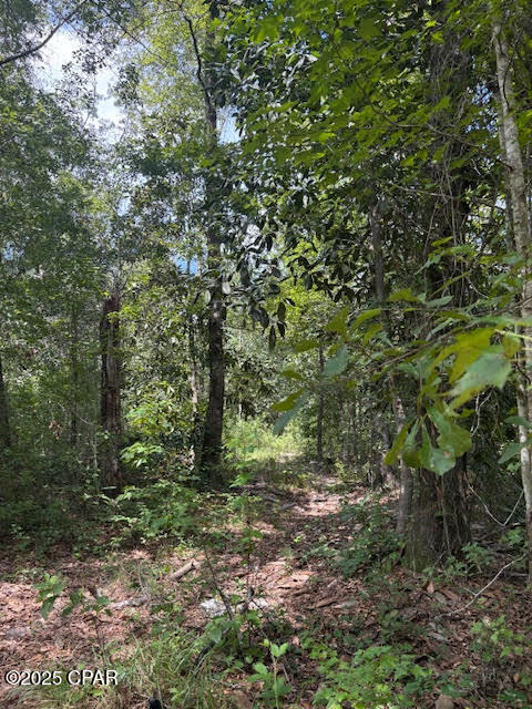 4600 Pine Grove Church Road Quincy, FL 32351 - Photo 34 of 59