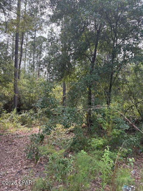 4600 Pine Grove Church Road Quincy, FL 32351 - Photo 36 of 59