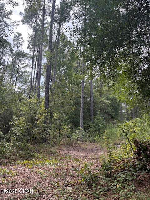 4600 Pine Grove Church Road Quincy, FL 32351 - Photo 37 of 59