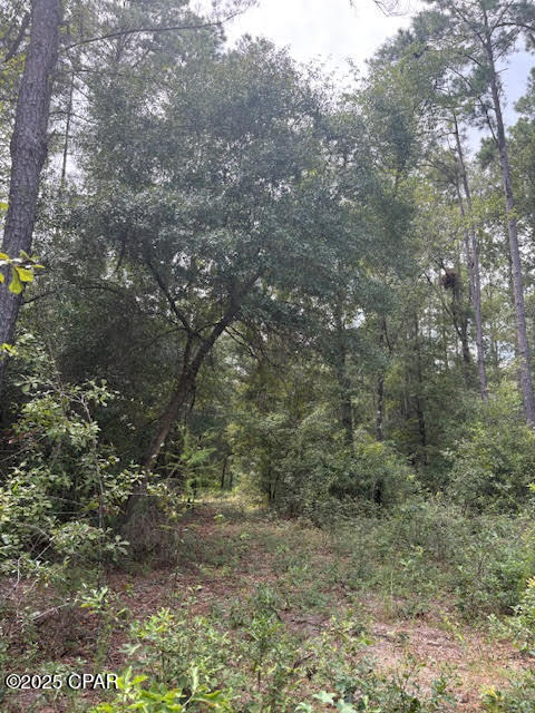 4600 Pine Grove Church Road Quincy, FL 32351 - Photo 40 of 59